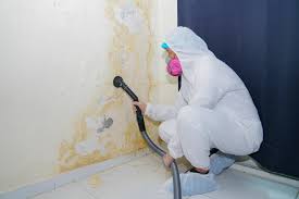  , USA Mold Removal & Remediation Pros